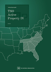 tso-active-property-iv